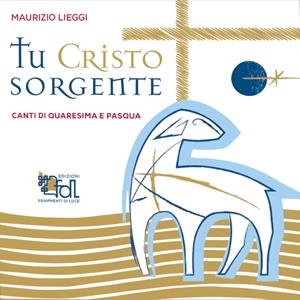 Audio Cd Lieggi Maurizio - Tu Cristo Sorgente - Opuscolo + Cd NUOVO SIGILLATO, EDIZIONE DEL 23/01/2022 DISPO ENTRO UN MESE, SU ORDINAZIONE