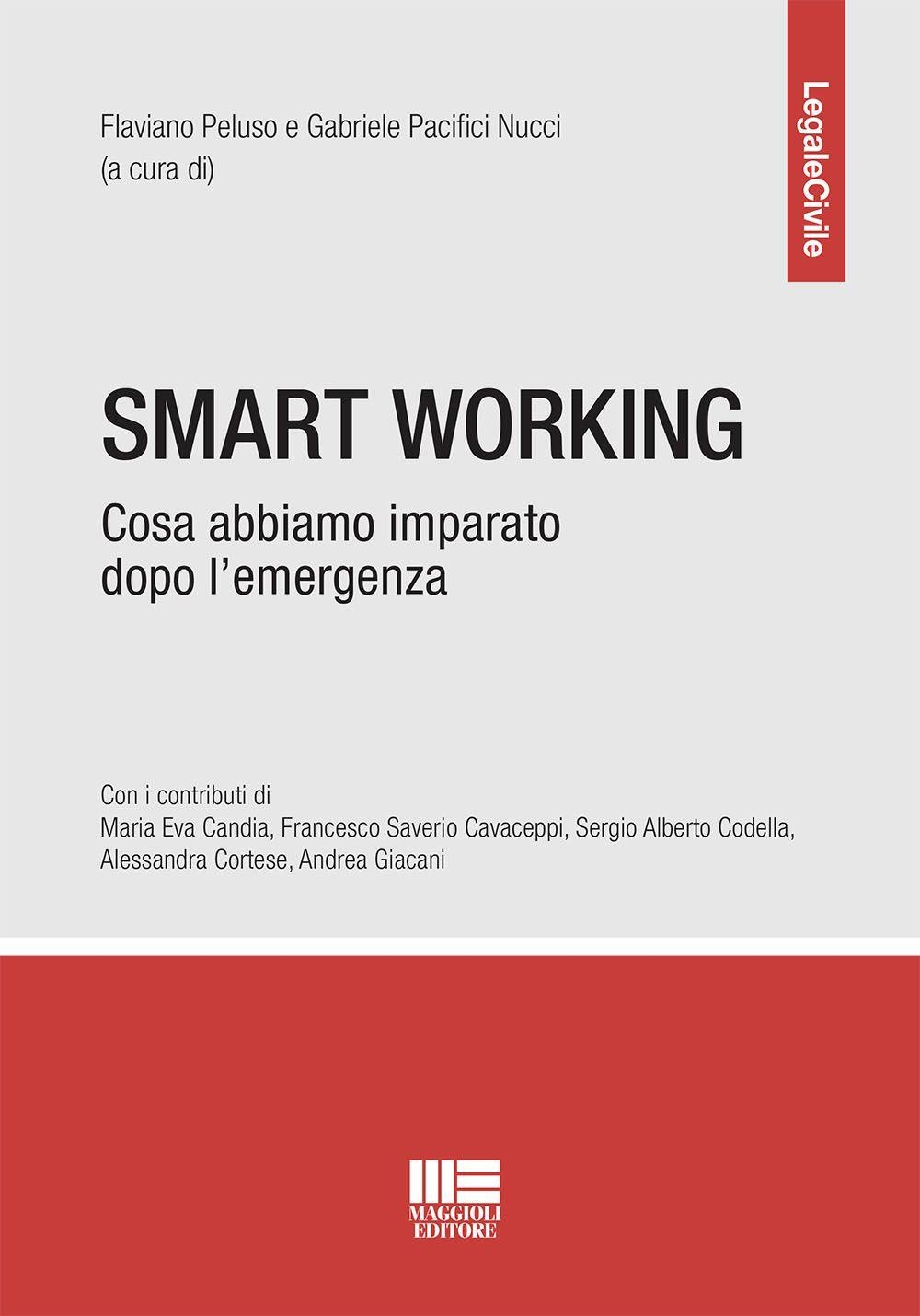 Libri Smart Working. Cosa Abbiamo Imparato Dopo L'emergenza NUOVO SIGILLATO, EDIZIONE DEL 30/10/2023 SUBITO DISPONIBILE