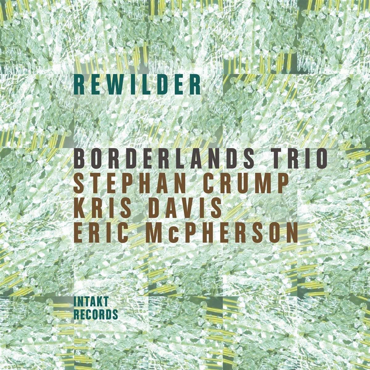 Audio Cd Borderlandstrio - Rewilder NUOVO SIGILLATO, EDIZIONE DEL 22/04/2024 SUBITO DISPONIBILE