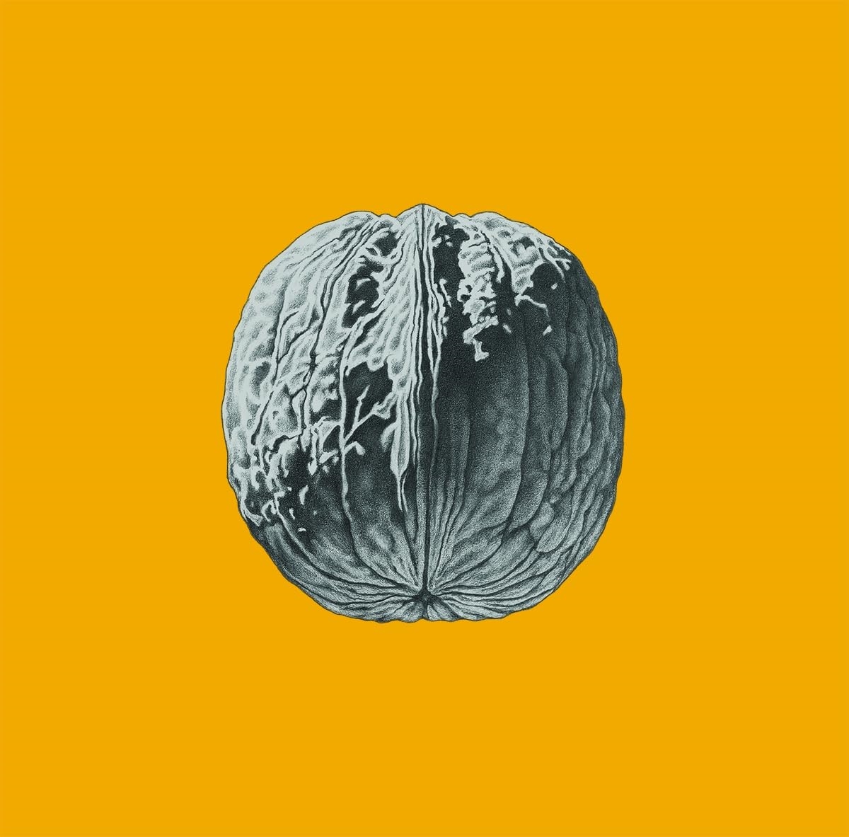 Brunori Sas – Brunori Sas - L'Albero Delle Noci (Blue Vinyl)